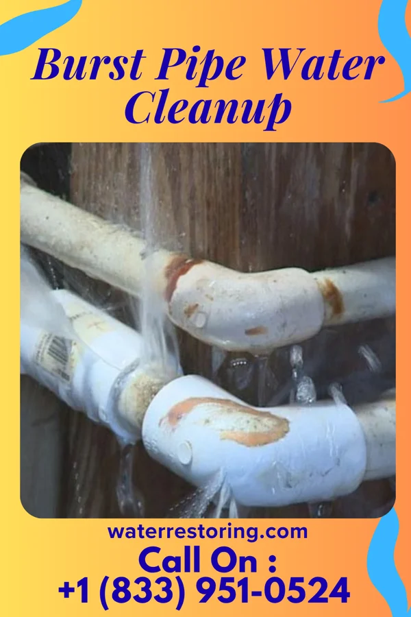 Burst Pipe Water Cleanup in Arpin, WI