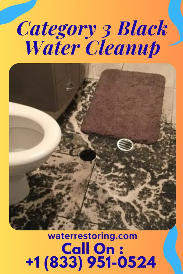 Category 3 Black Water Cleanup in Arpin, WI