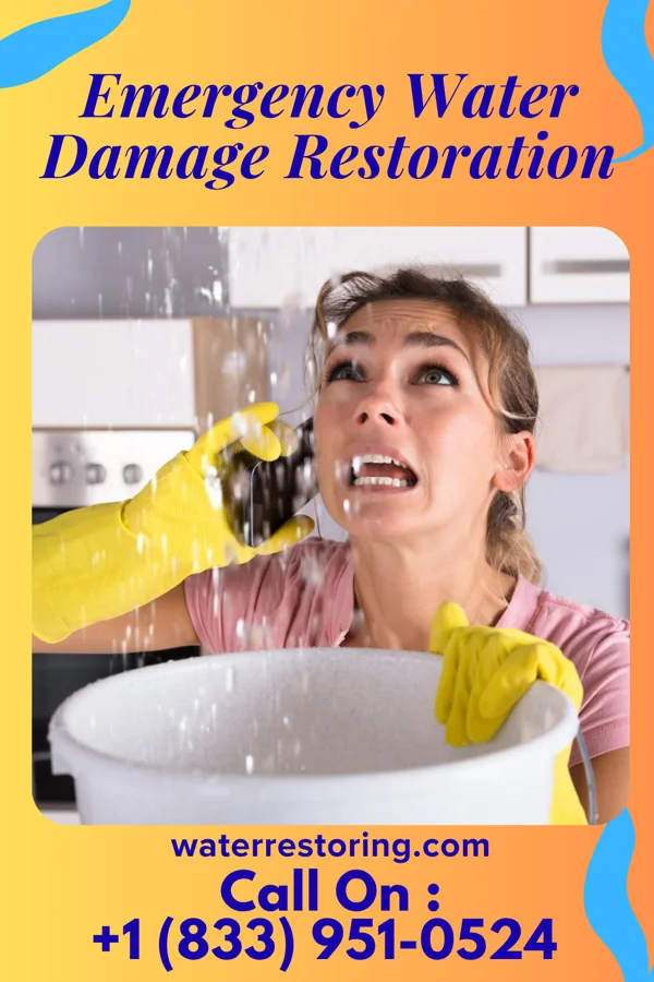Emergency Water Damage Restoration in Arpin, WI