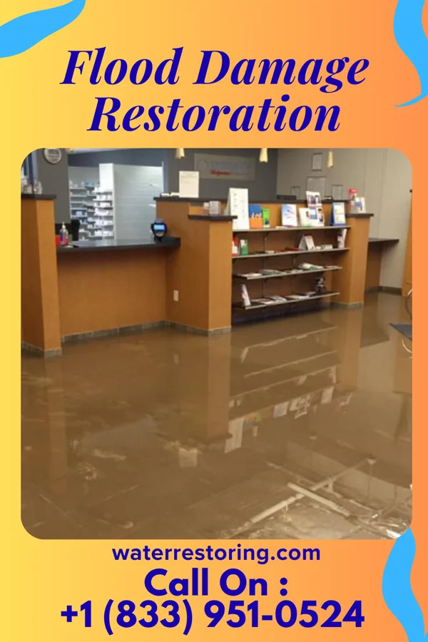 Flood Damage Restoration in Arpin, WI