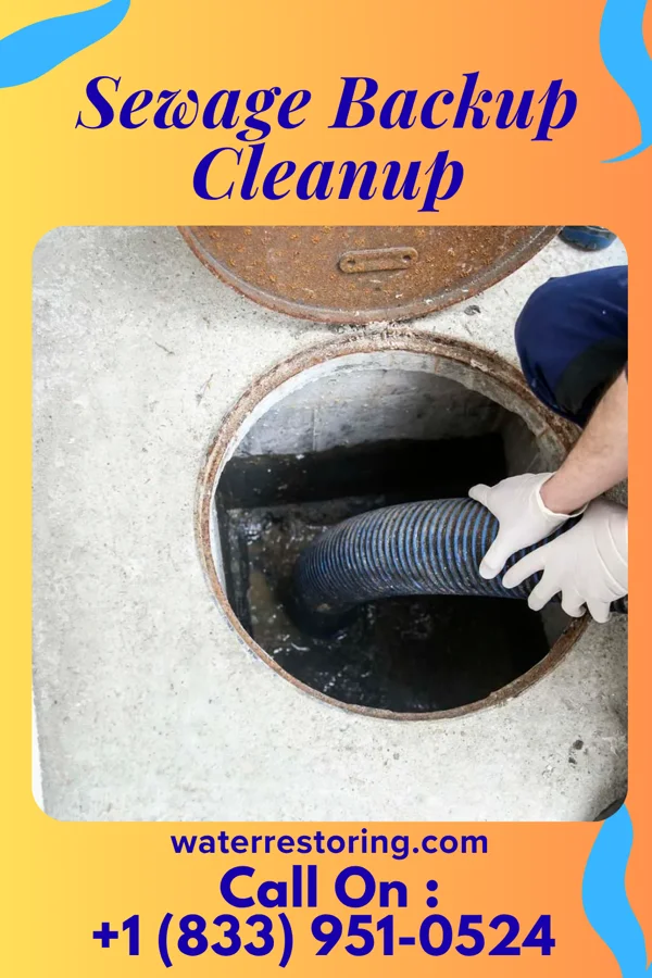 Sewage Backup Cleanup in Arpin, WI