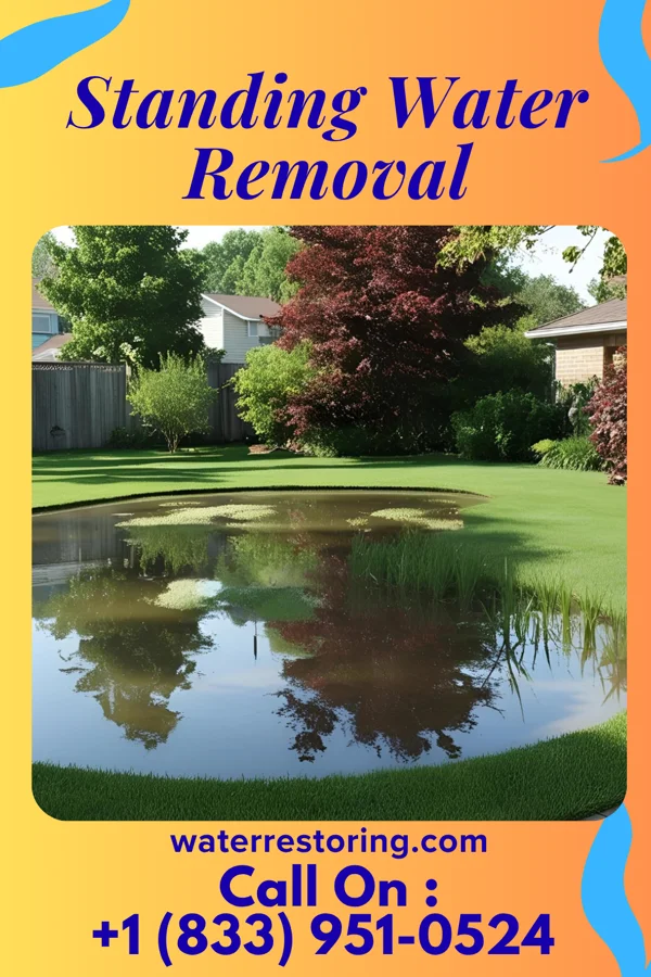 Standing Water Removal in Arpin, WI